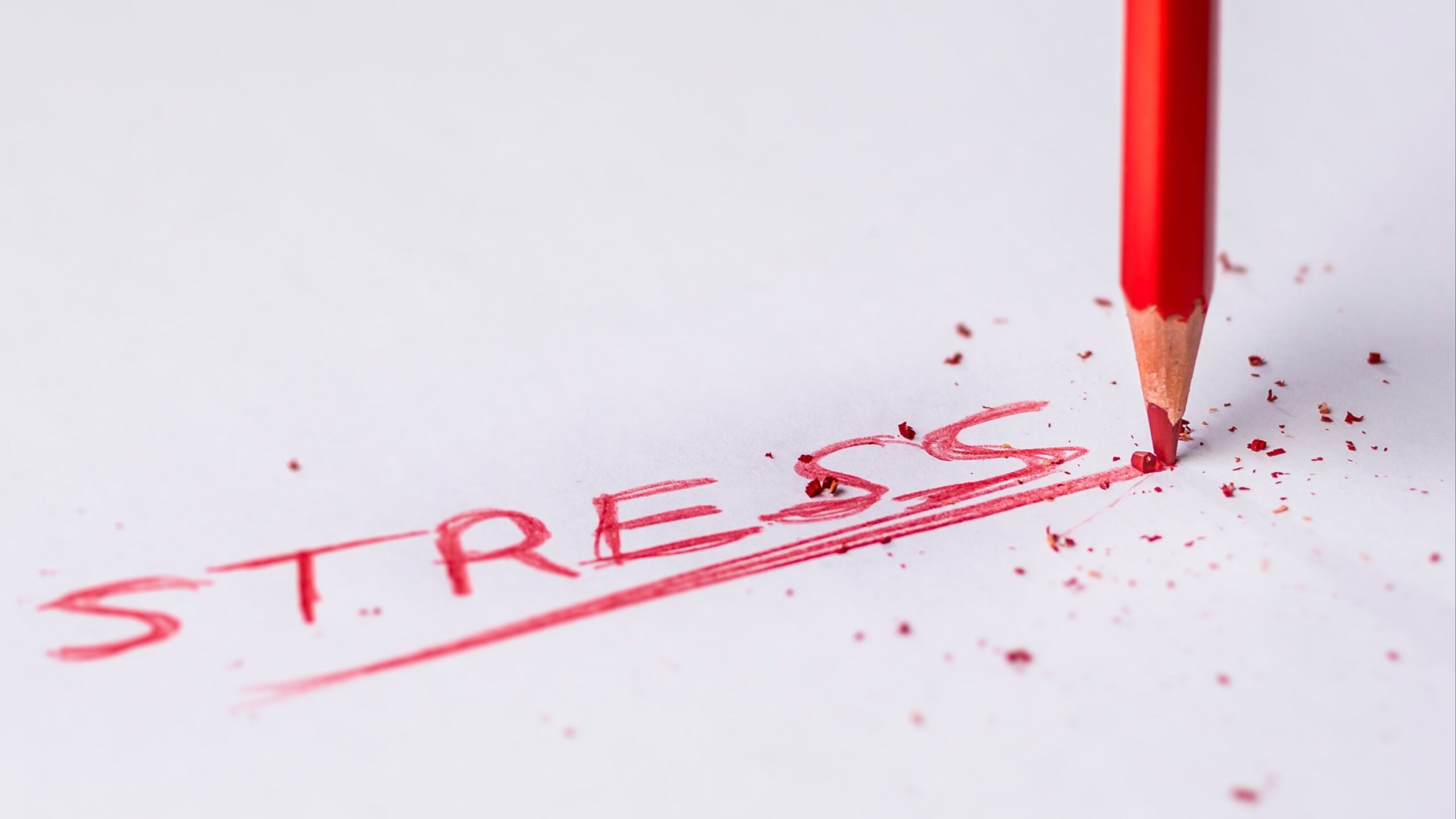 Stress Management Techniques for High Performers