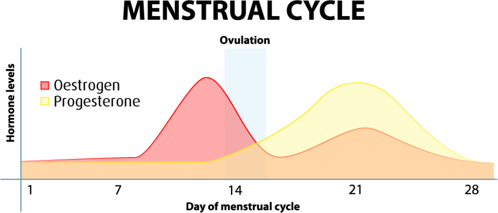 A coloured diagram of the menstrual cycle. The two axis read 'Hormone levels' and 'Day of menstrual cycle'.
