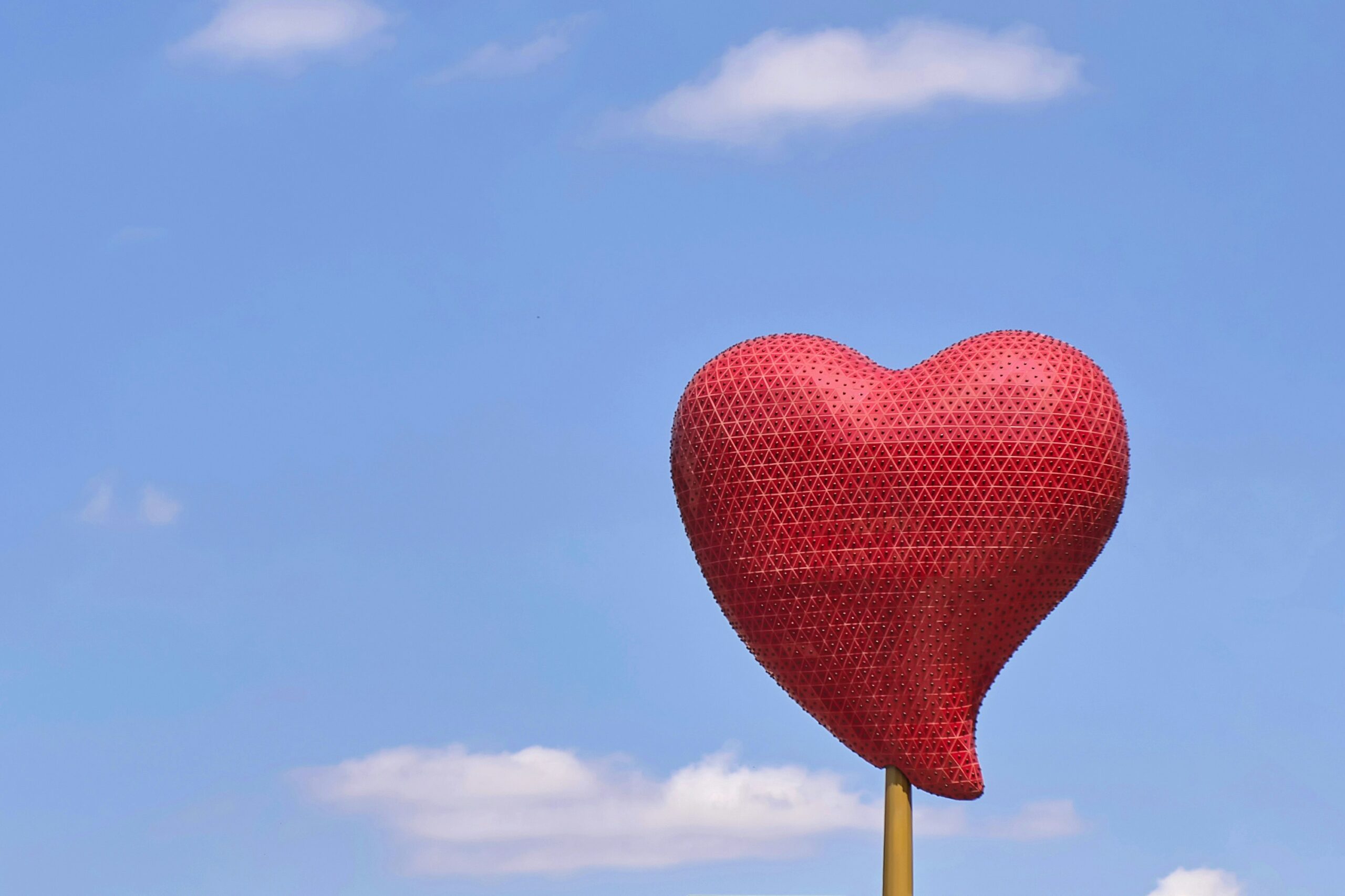 The Impact of Stress on Heart Health 