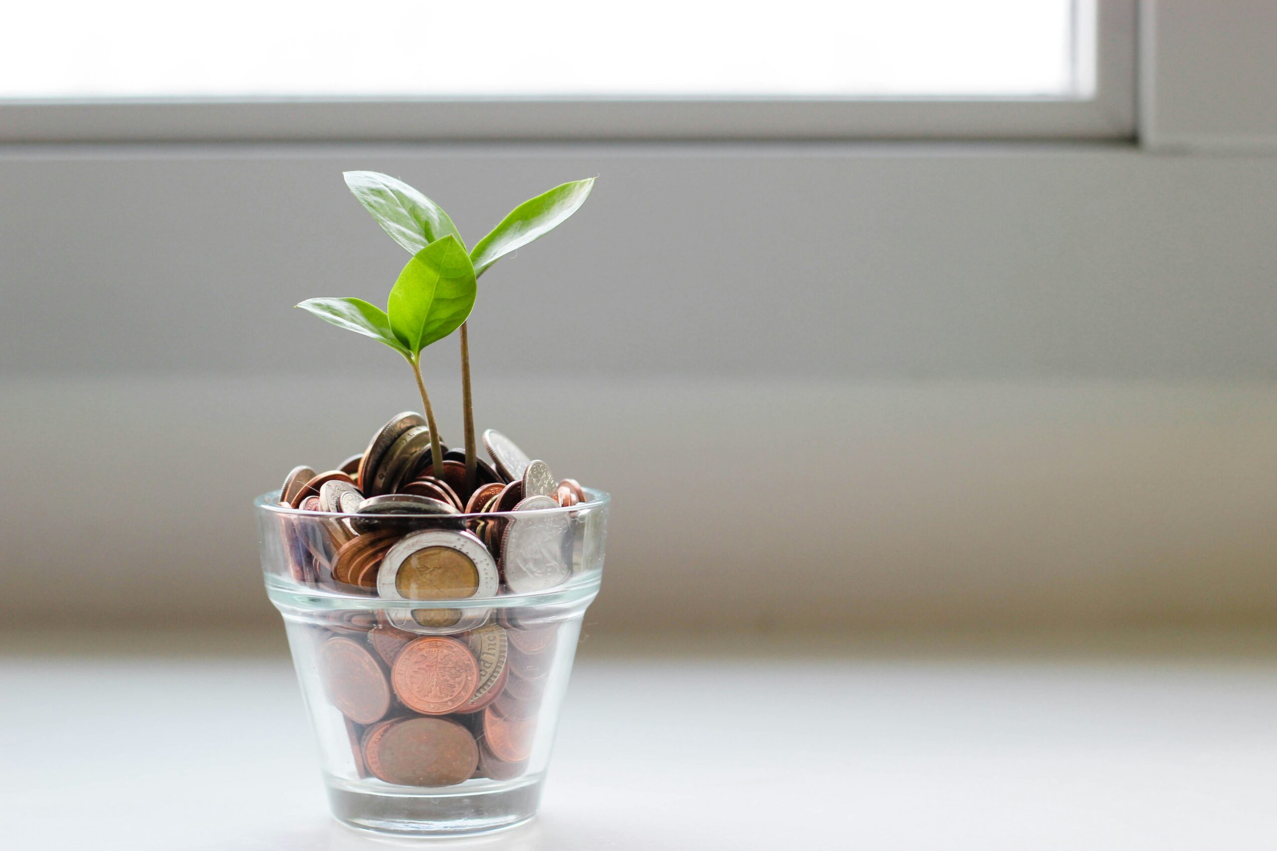 How CFOs Can Use Sustainability Loans to Fund Mental Health